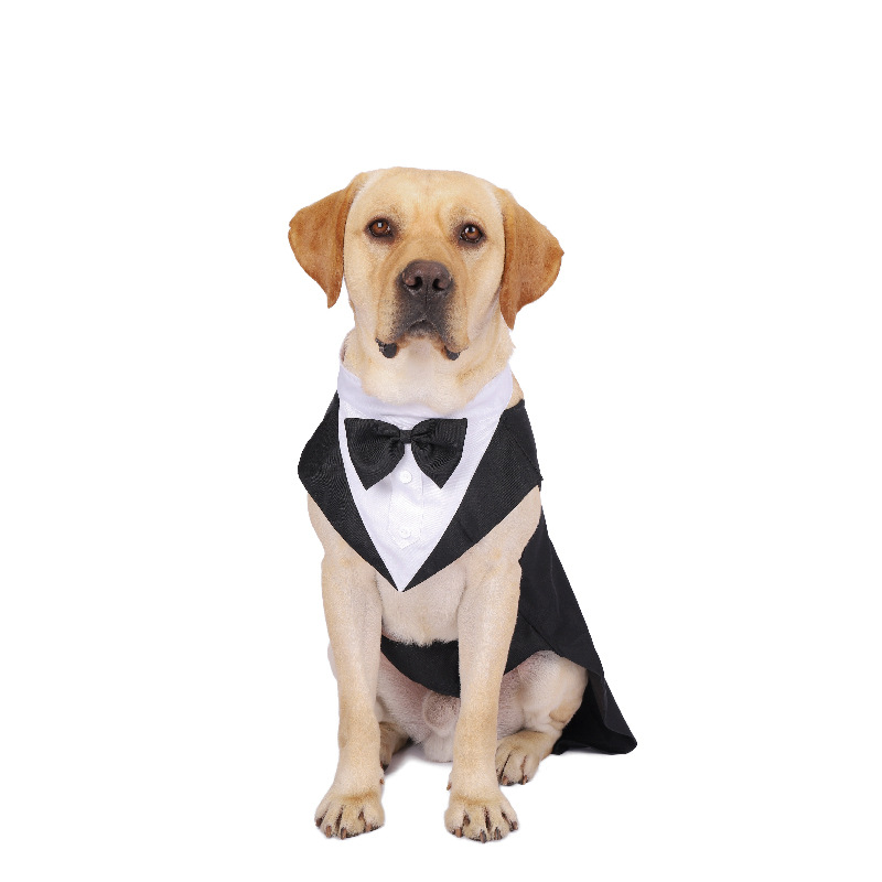 Pet Dog Clothes Fashion Party  - Suitsupply Wedding Tuxedo ulasan dan harga