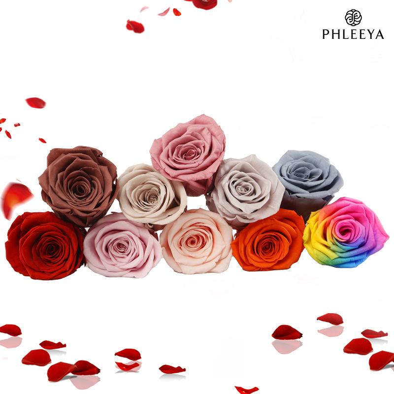 6pcs Eternal Rose Flower Heads - Wedding Supply Bulk ulasan dan harga