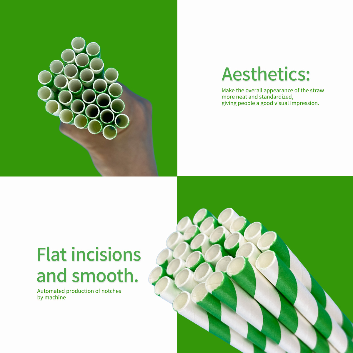 100 Pcs Biodegradable Green an - Wedding Supply Bulk ulasan dan harga